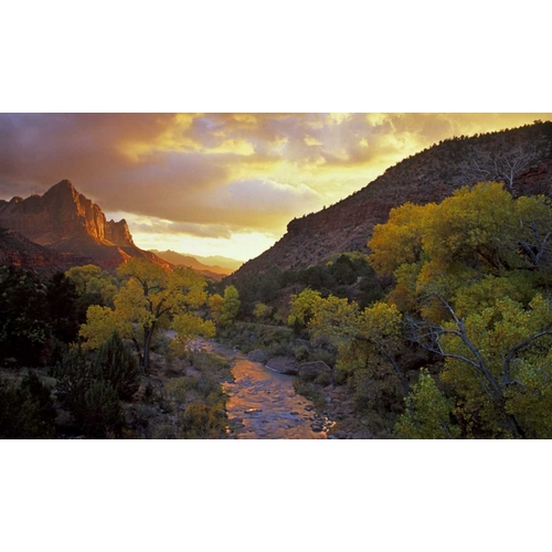 UT, Zion NP  Canyon landscape at sunset